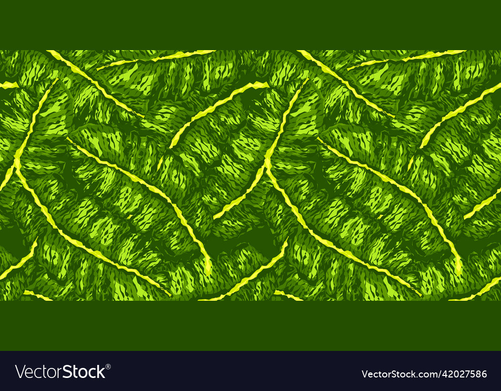 Rough Banana Leaf Seamless Pattern Tropical Vector Image