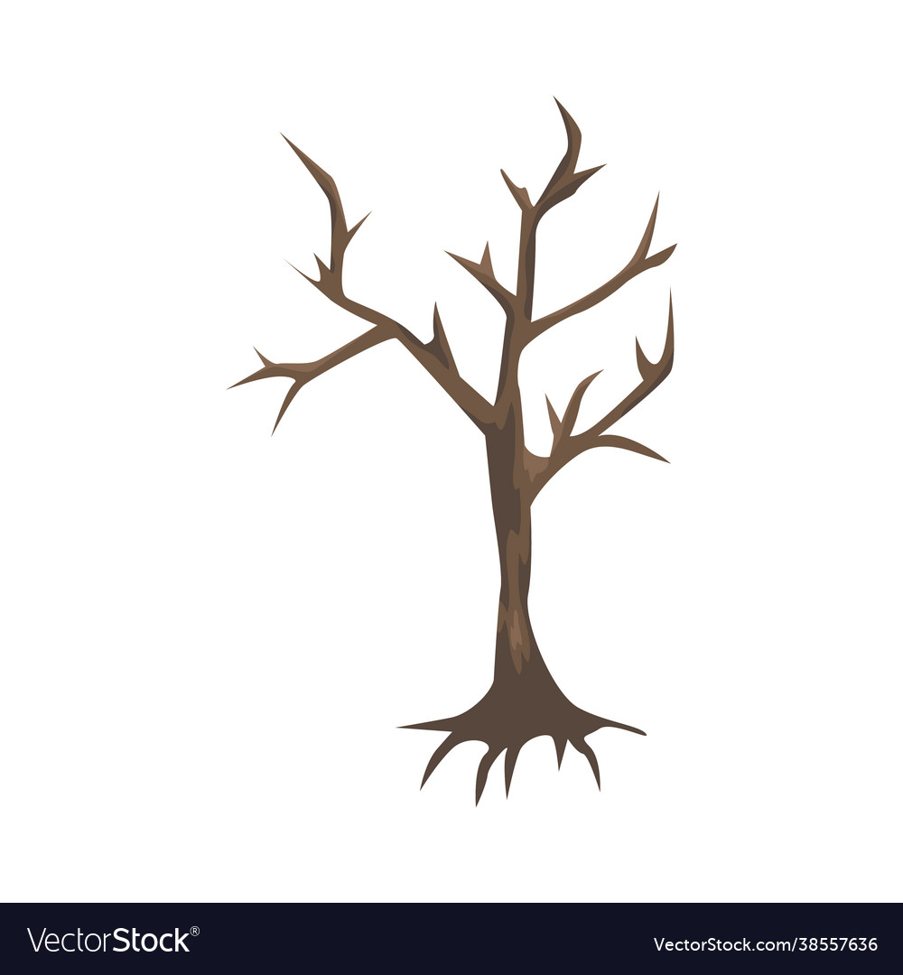 Dry Tree Royalty Free Vector Image VectorStock