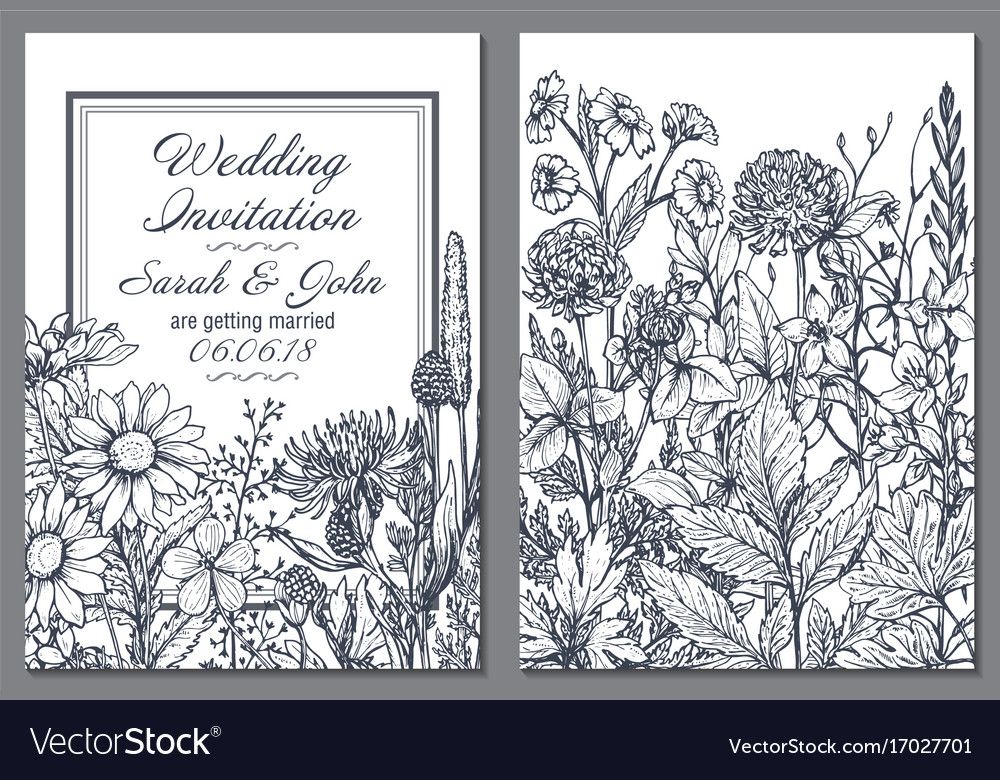 Floral Backgrounds With Hand Drawn Herbs Vector Image