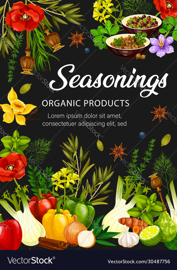 Spices And Herbs Food Seasonings Condiments Vector Image