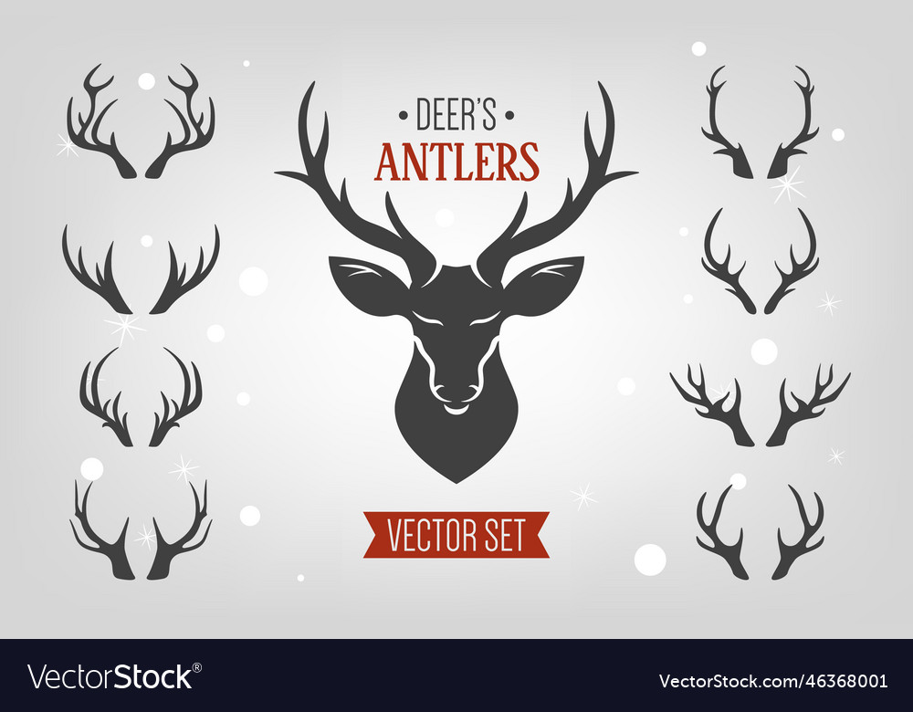 Reindeer Horns Antlers Deer Horn Royalty Free Vector Image