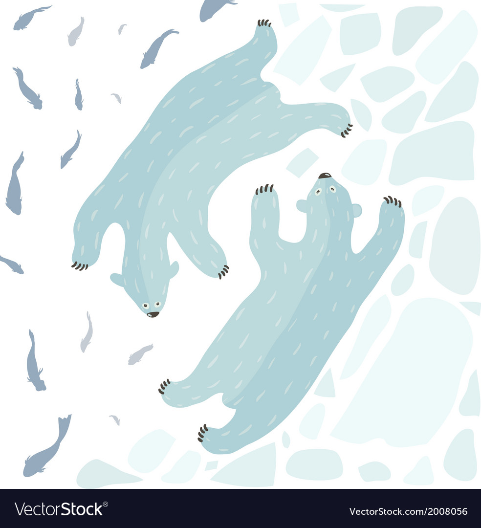 Swimming Polar Bears Royalty Free Vector Image