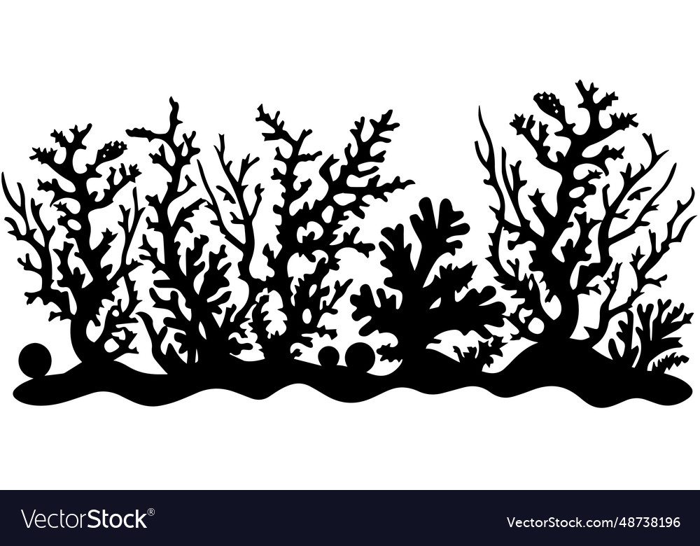 Hand Drawn Corals And Seaweed Silhouette Isolated Vector Image