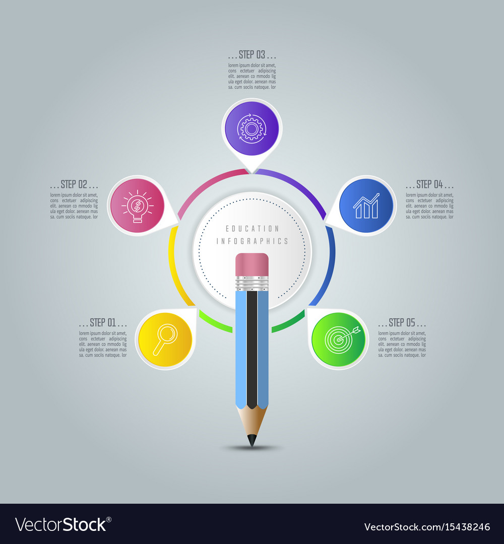 Education Infographics Template Step Option Vector Image