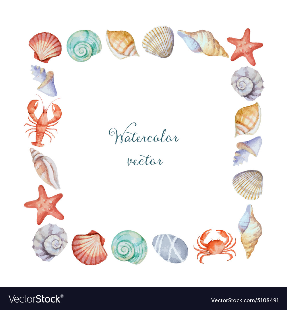 Watercolor Square Frame Sea Shells Royalty Free Vector Image