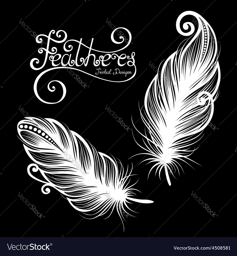 Peerless Decorative Feather Royalty Free Vector Image