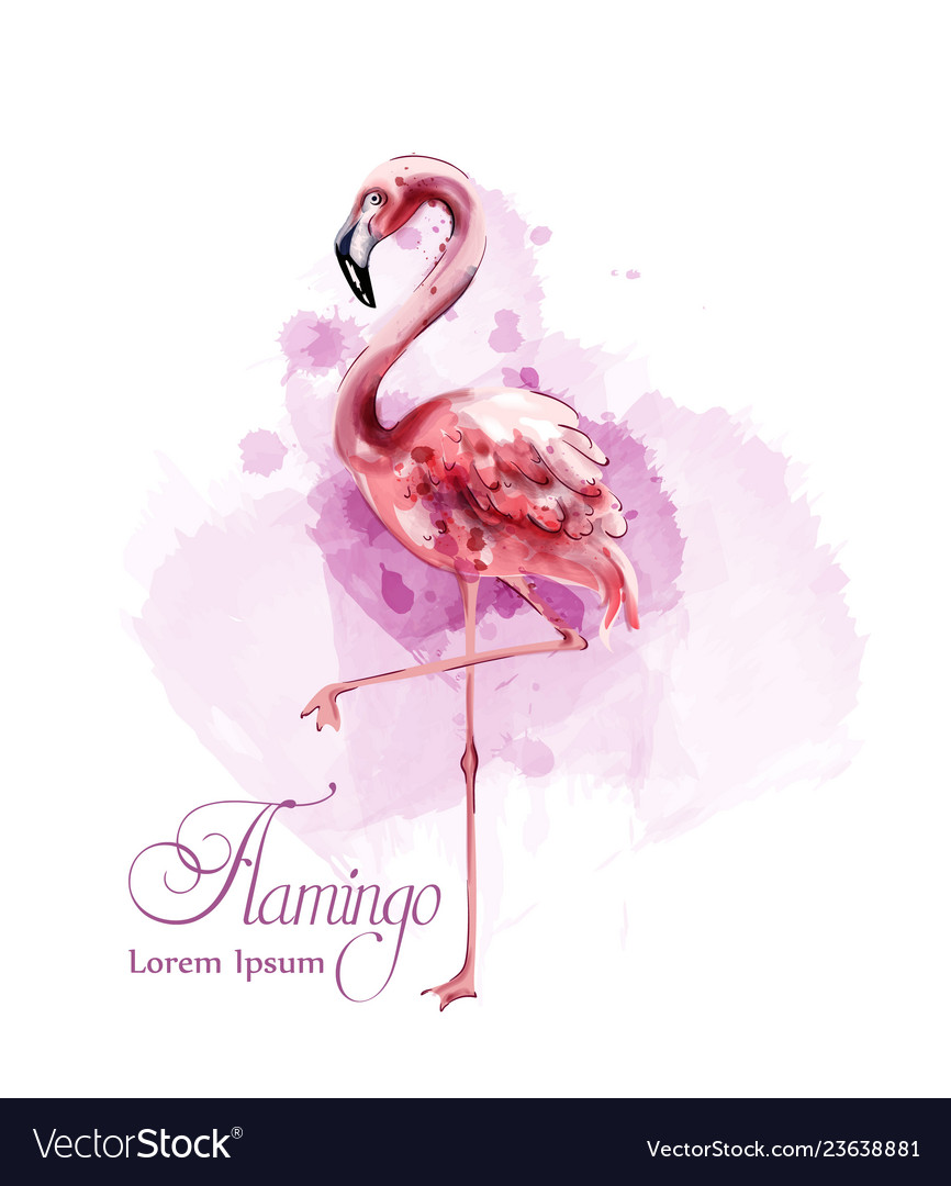 Flamingo In Watercolor Isolated Exotic Royalty Free Vector