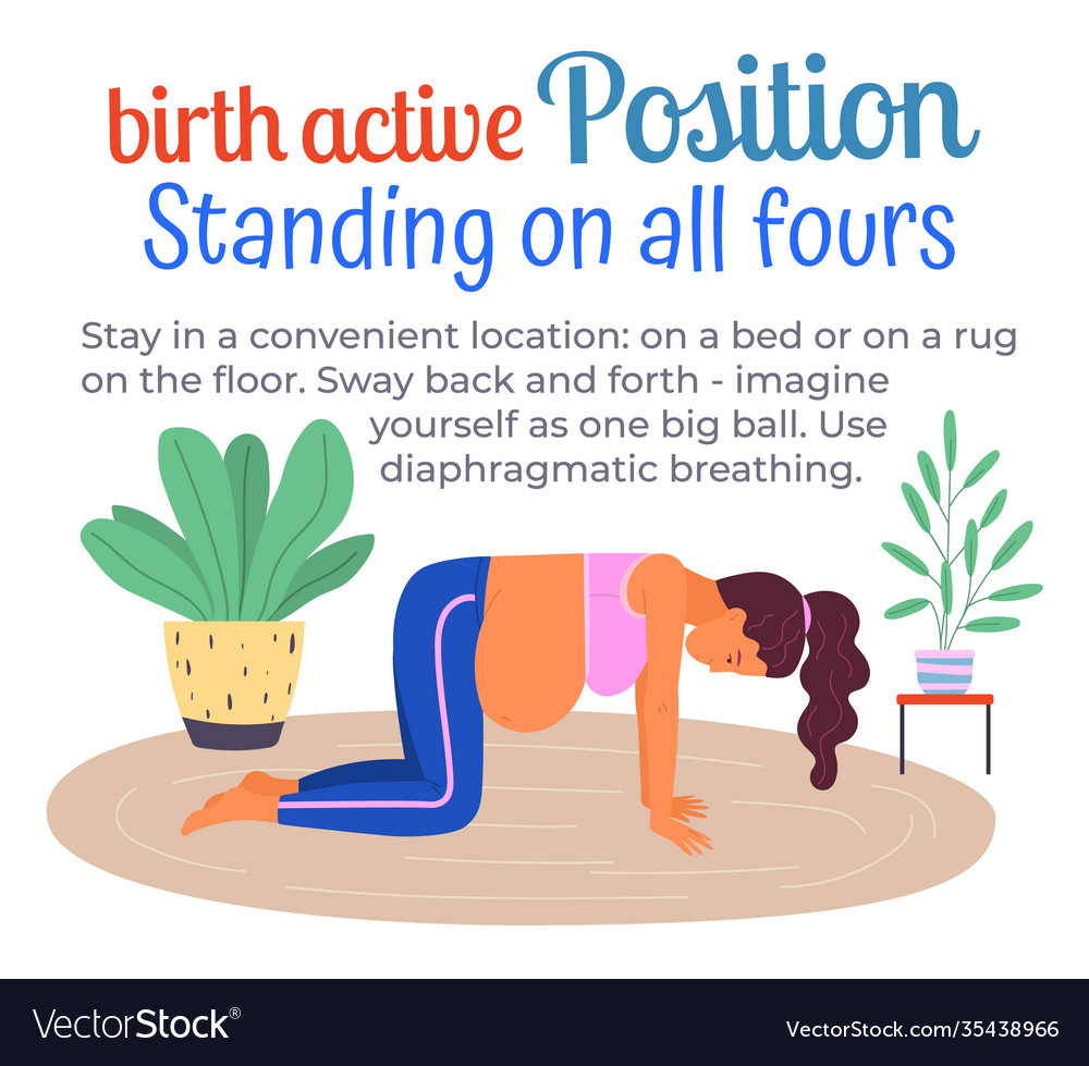 10 Birth Active Positions Poster Pregnancy Info Vector Image Porn Sex