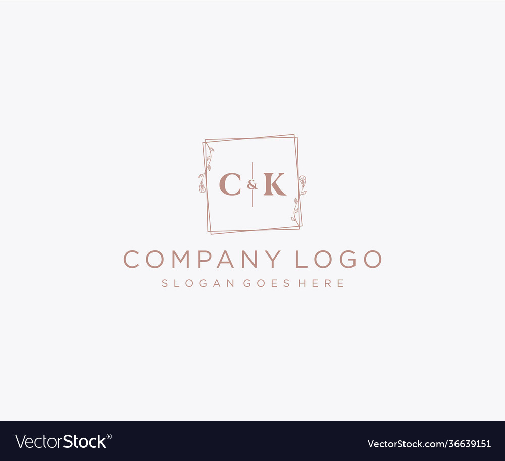 Initial Ck Letters Decorative Luxury Wedding Logo Vector Image