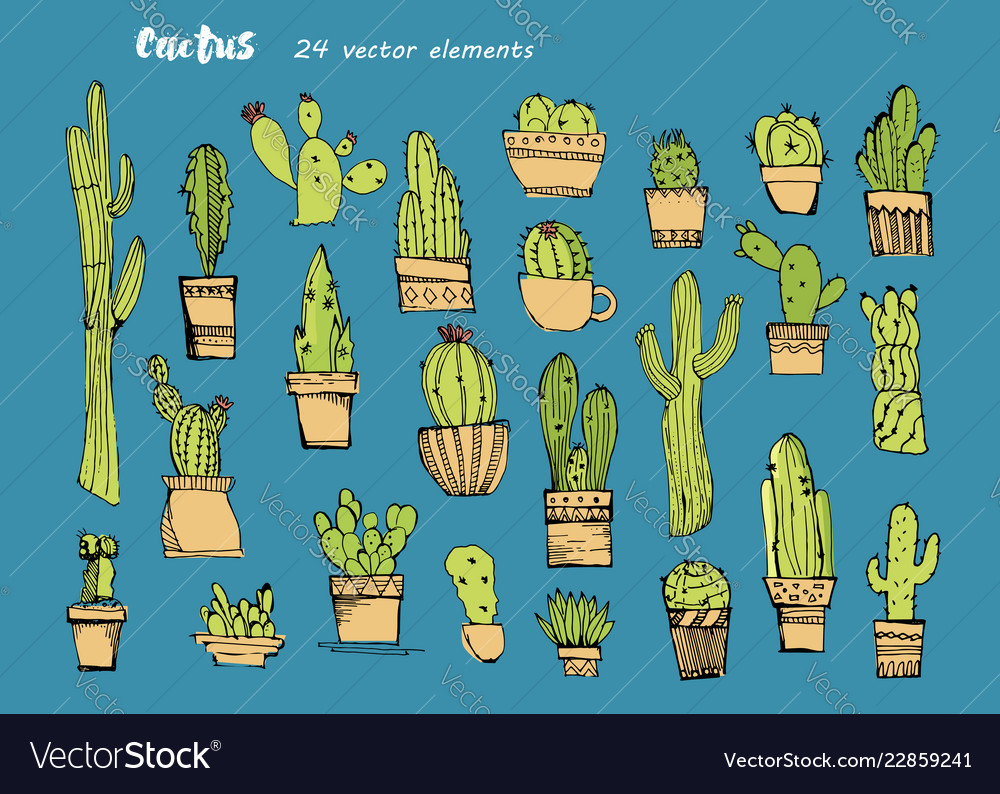 Cacti Handdrawn Sketchcollection Of Different Vector Image