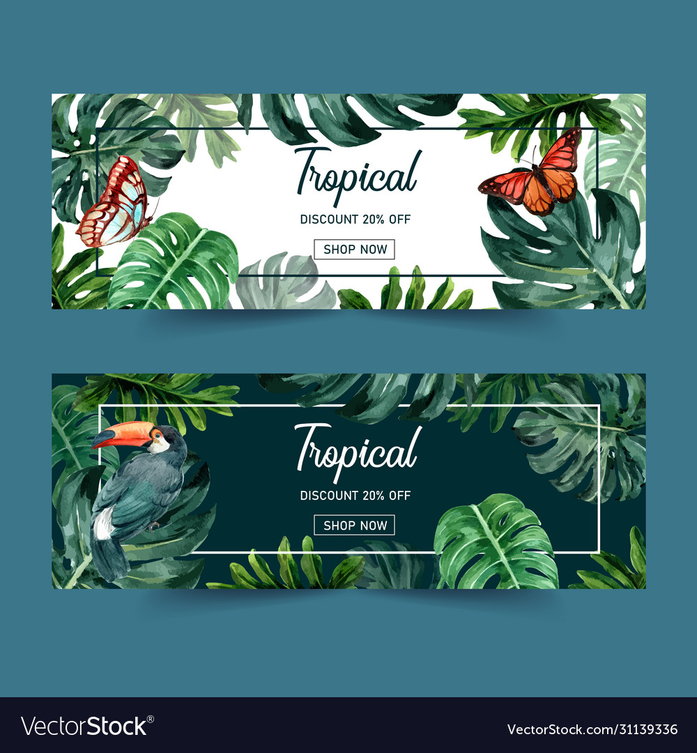 Banner Design With Classic Tropical Theme Vector Image