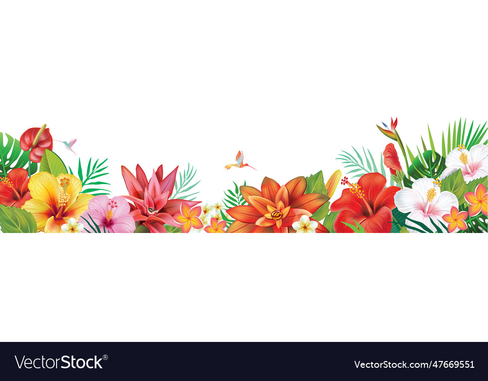 Frame From Tropical Plants And Exotic Flowers Vector Image