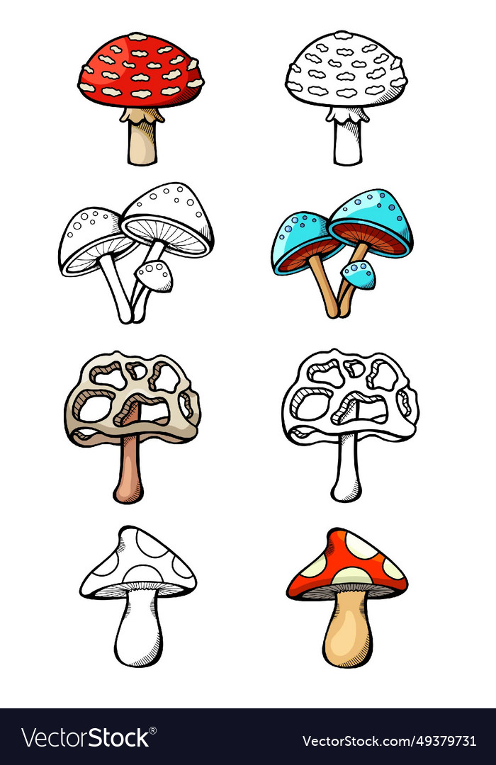 Mushroom Royalty Free Vector Image Vectorstock