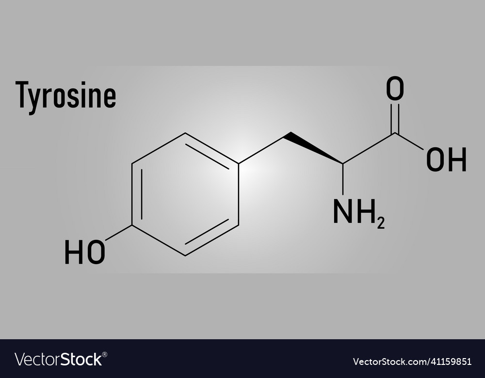 Tyrosine Amino Acid Molecule Skeletal Formula Vector Image