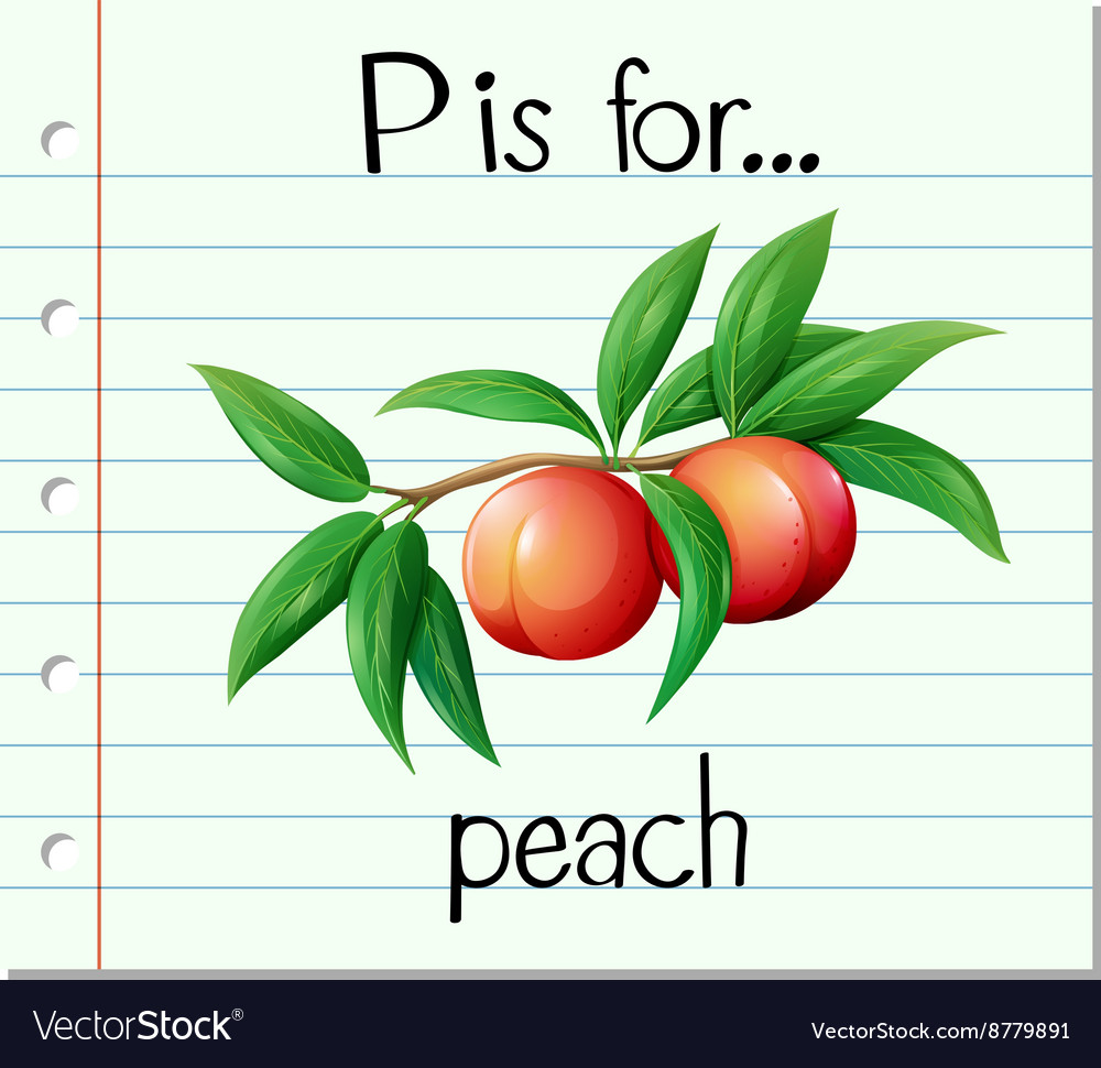 Flashcard Letter P Is For Peach Royalty Free Vector Image