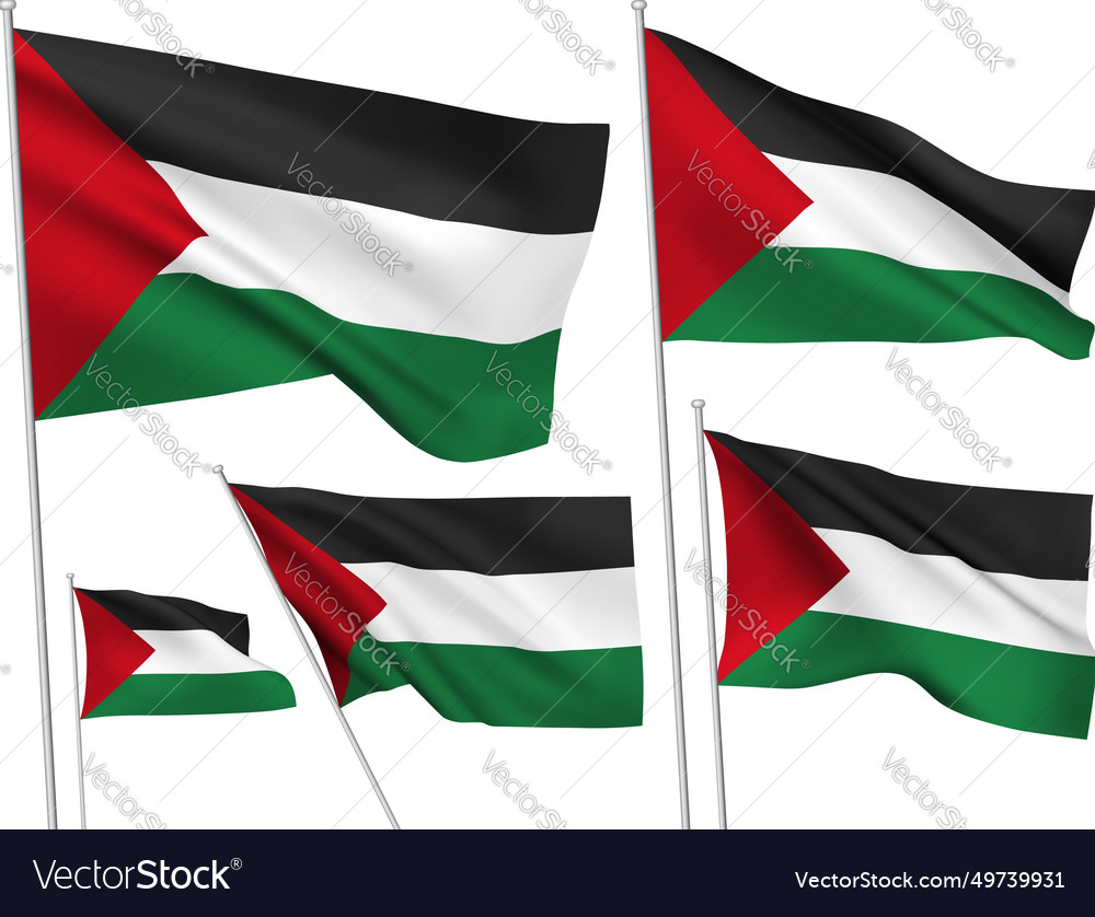 Flags Of Palestine Royalty Free Vector Image Vectorstock