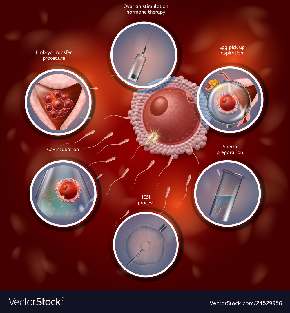 Anitbiotics and sperm