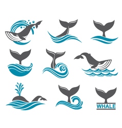 Abstract Whale Icons Set Royalty Free Vector Image