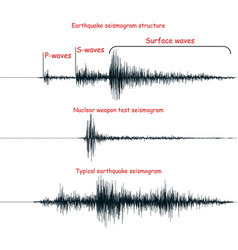 Seismogram Earthquake Graph Oscilloscope Waves Vector Image