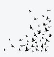 Silhouette A Flock Birds Black Contours Of Vector Image