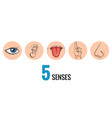 Sensory Organs Nose Smell Eyes Vision Ears Vector Image