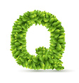 Letter E Alphabet Of Green Leaves Royalty Free Vector Image