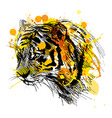 Colored Hand Sketch Head Roaring Jaguar Royalty Free Vector