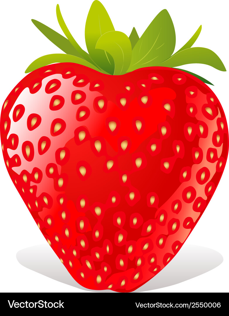 Strawberry Royalty Free Vector Image - VectorStock