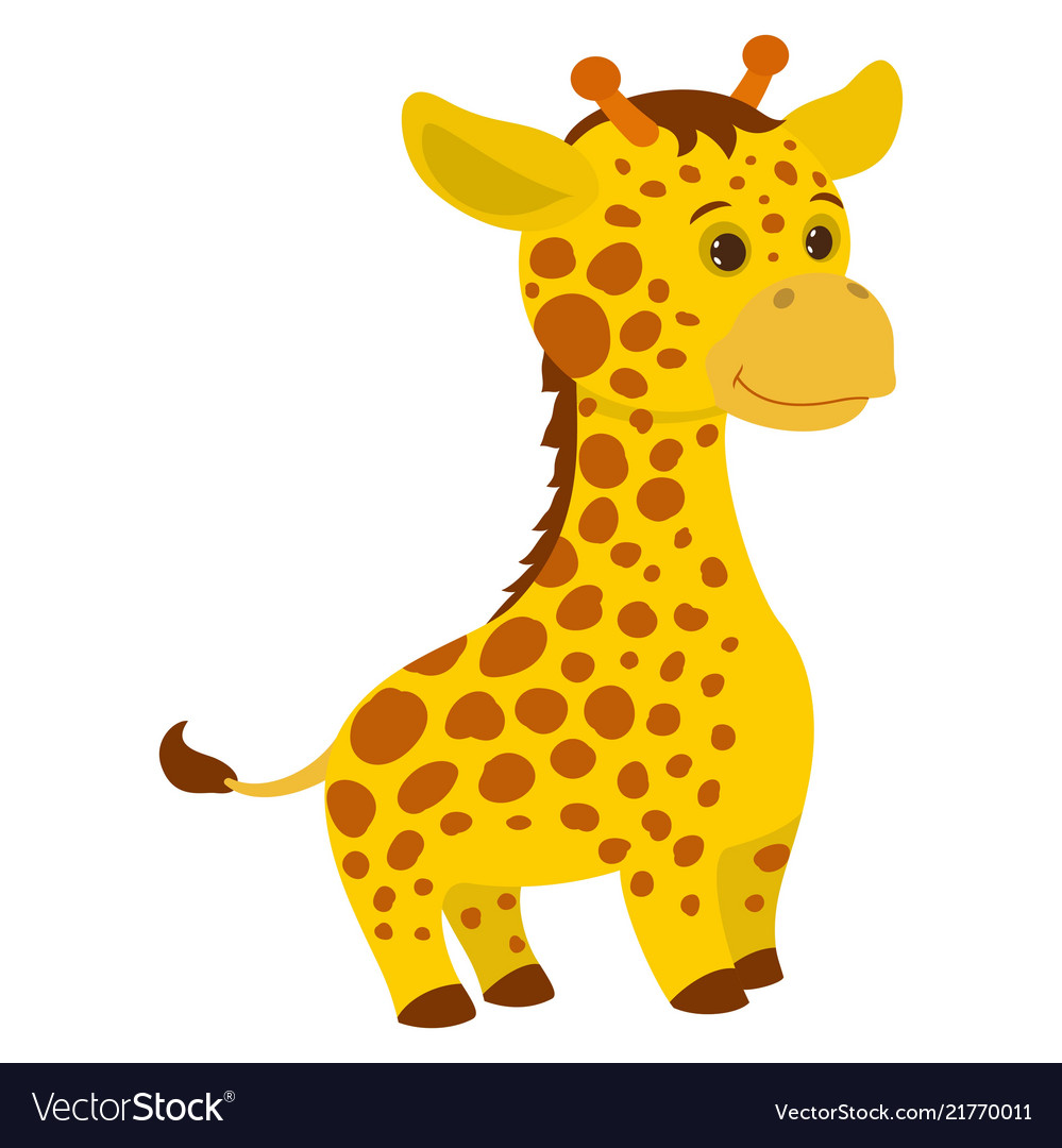 Giraffe Color Pictures