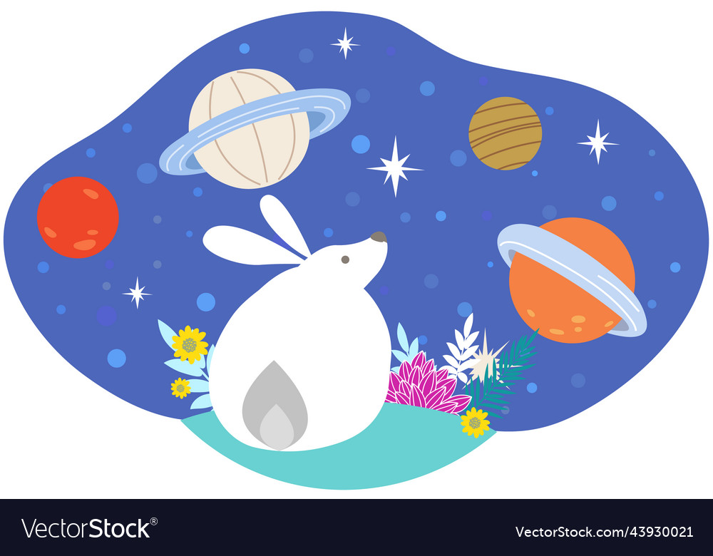 White rabbit staring for falling stars at night Vector Image