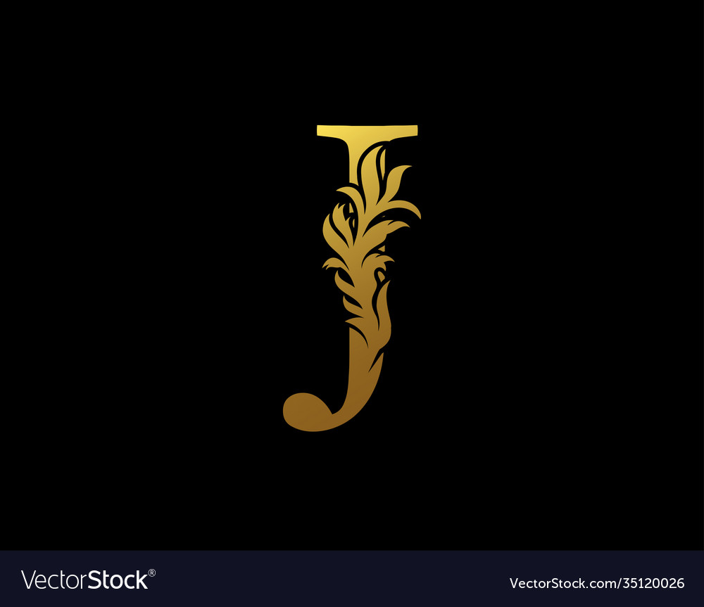 Classic letter j icon luxury gold alphabet arts Vector Image