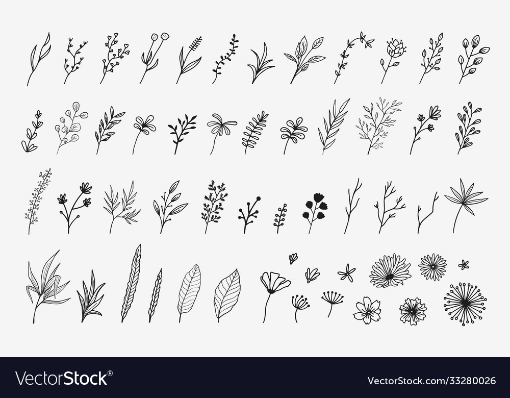 Creative floral and flowet collection Royalty Free Vector