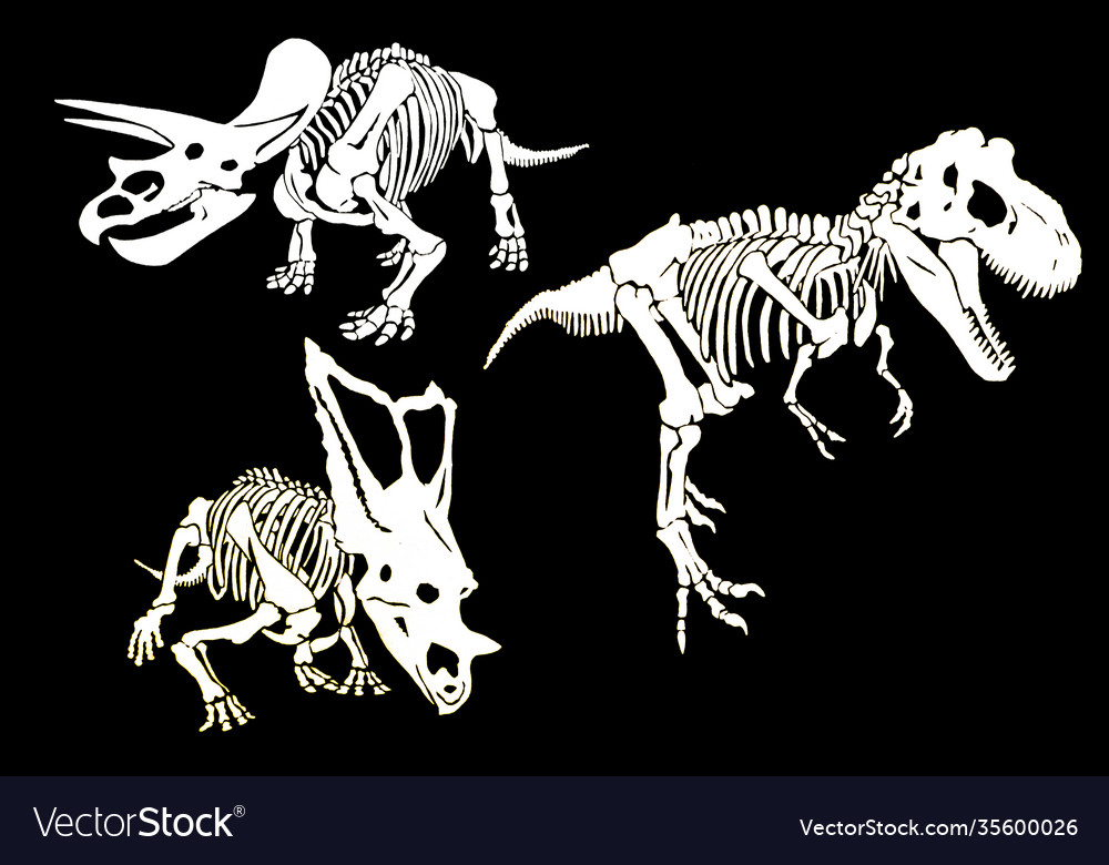 Graphical set skeletons dinosaurs isolated Vector Image