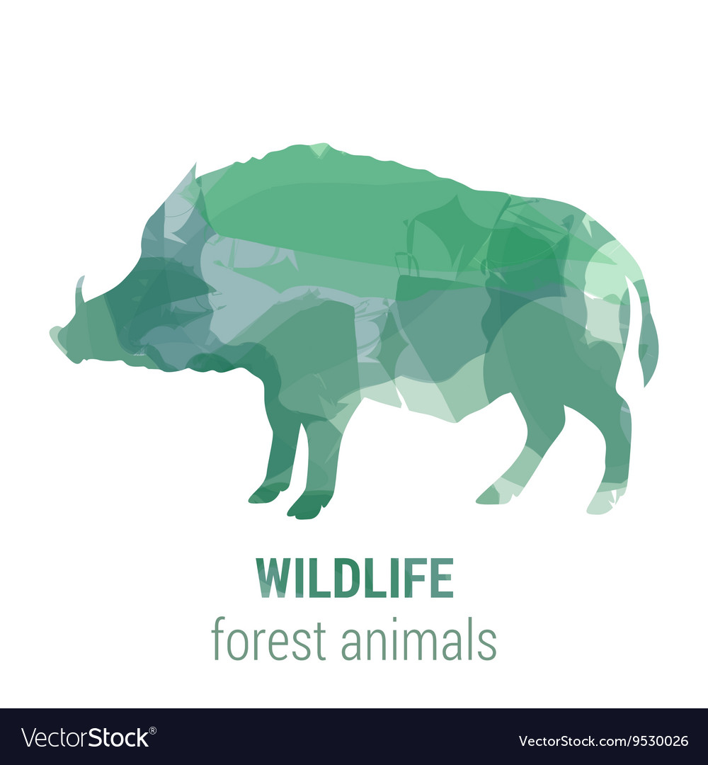 Wildlife Banner Forest Animals Royalty Free Vector Image