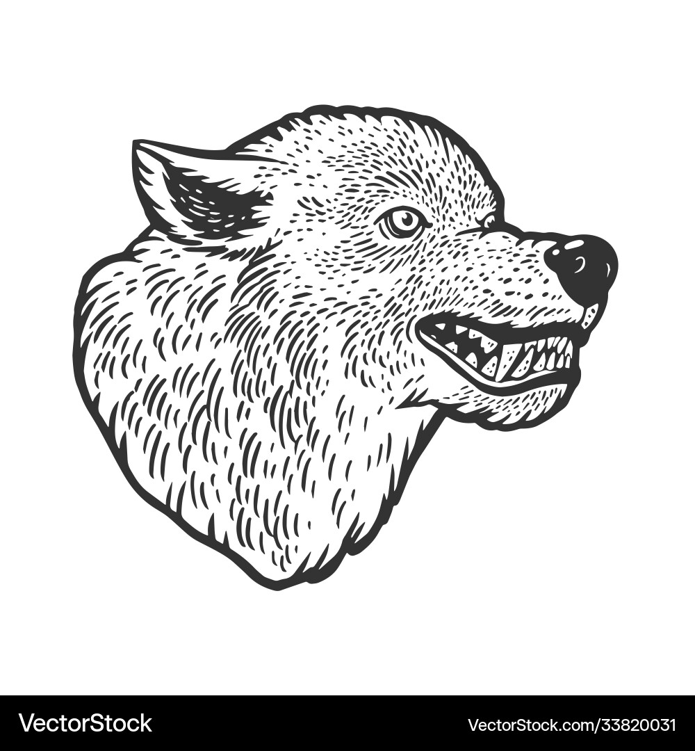 Wolf Head Tattoo Sketch Royalty Free Vector Image