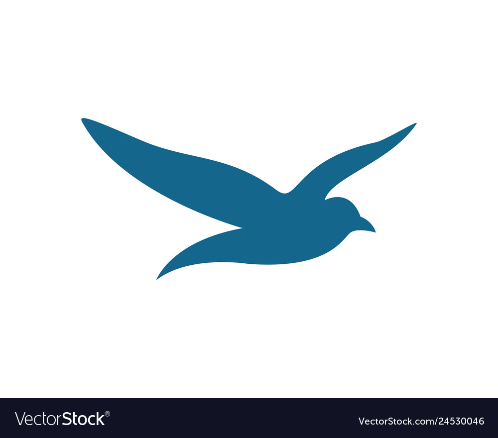 Seagull logo template Royalty Free Vector Image