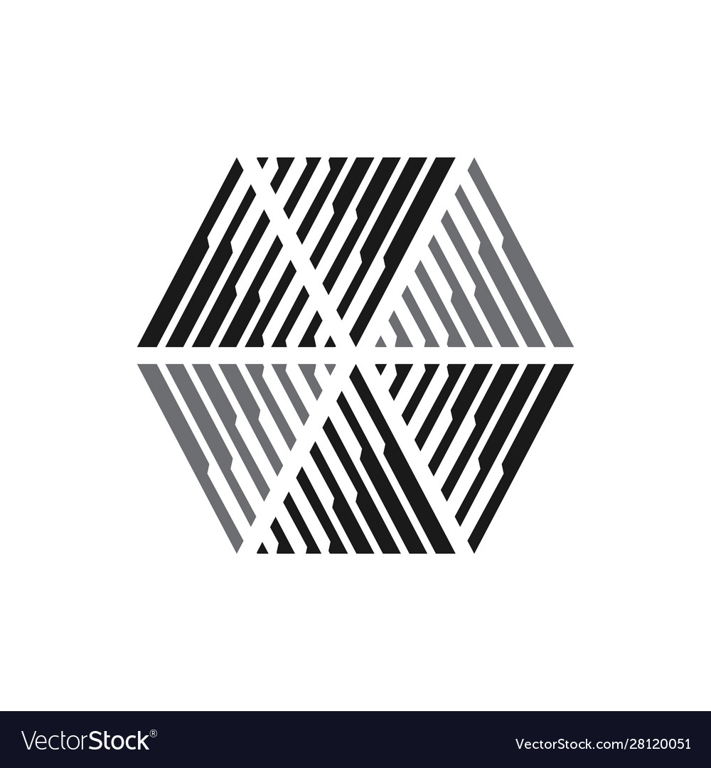 Geometric hexagonal logo modern hexagon design Vector Image