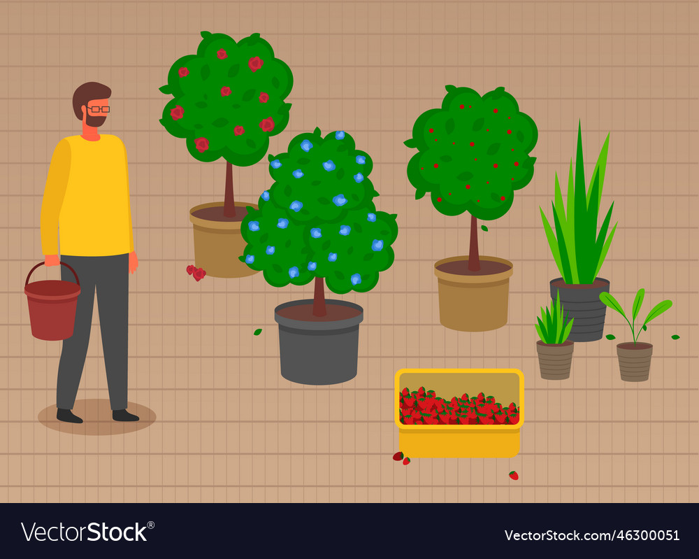 Man with bucket takes care of the garden trees Vector Image