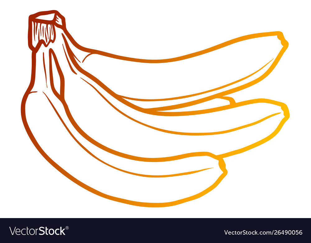 Bananas Black And Color Gradient Outline Vector Image