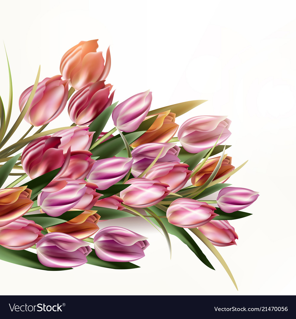 Beautiful background with tulip flowers Royalty Free Vector