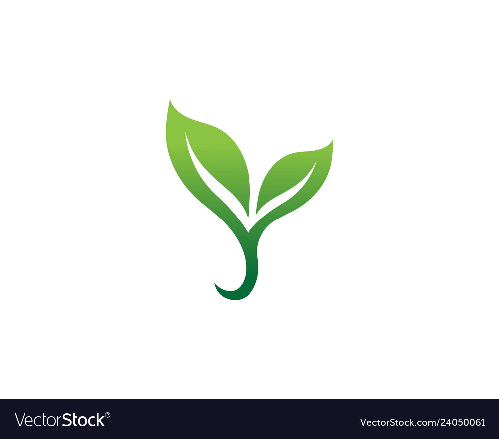 Ecology leaves logo Royalty Free Vector Image - VectorStock