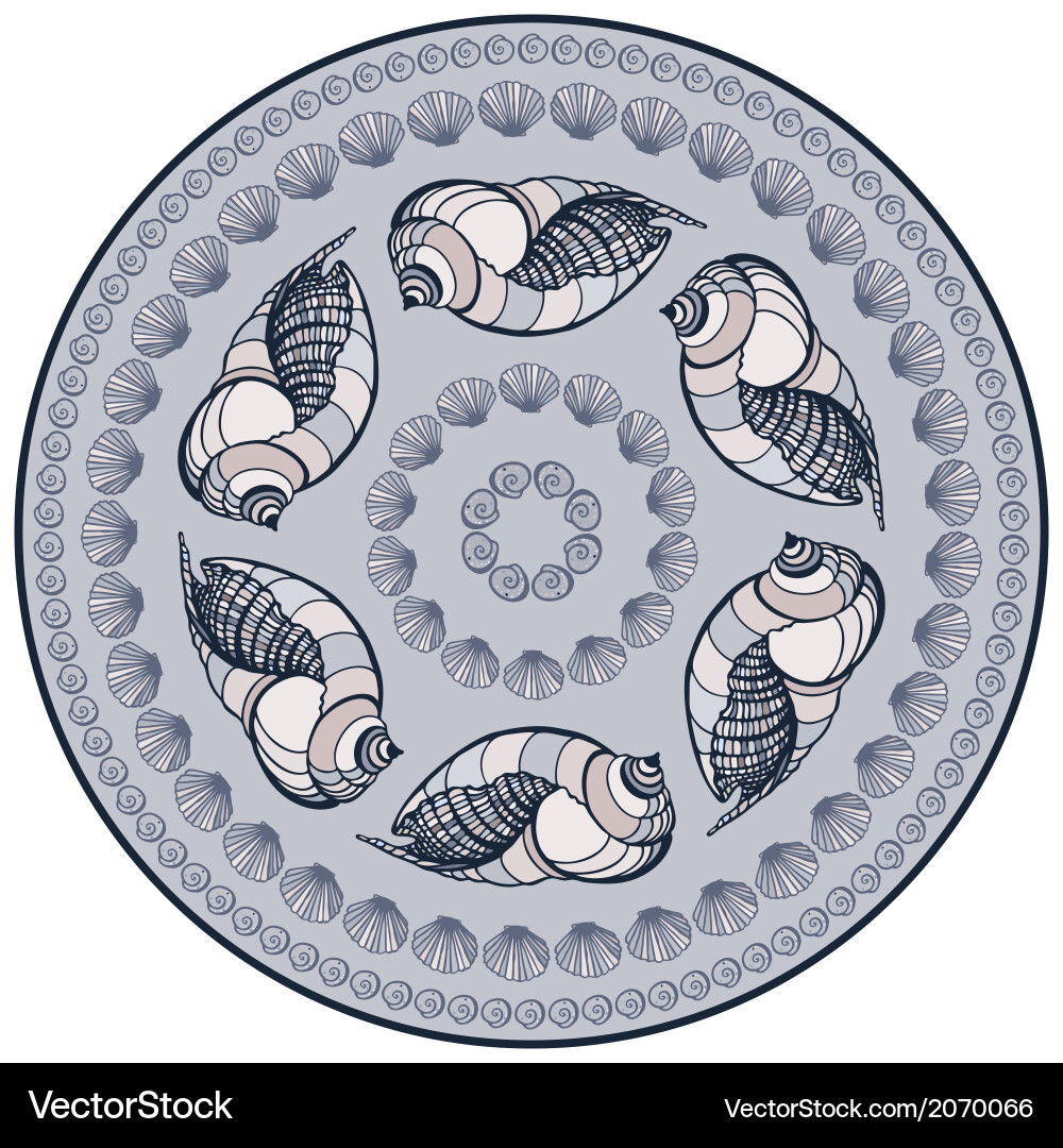 Mandala made seashells Royalty Free Vector Image