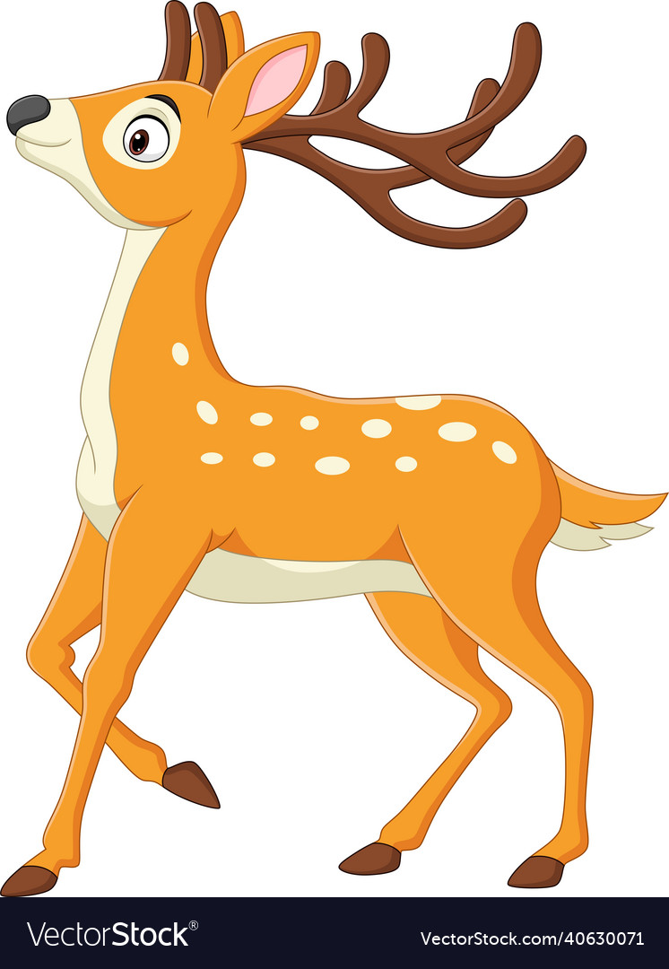 Cartoon funny deer on white background Royalty Free Vector