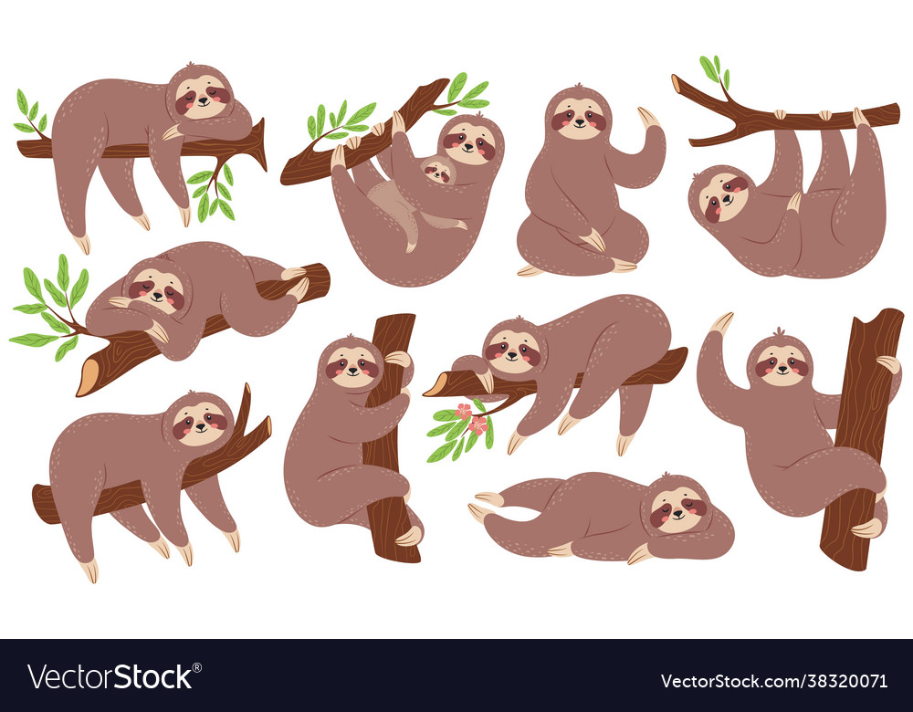 Sloth funny sloths hanging on branch climbing Vector Image