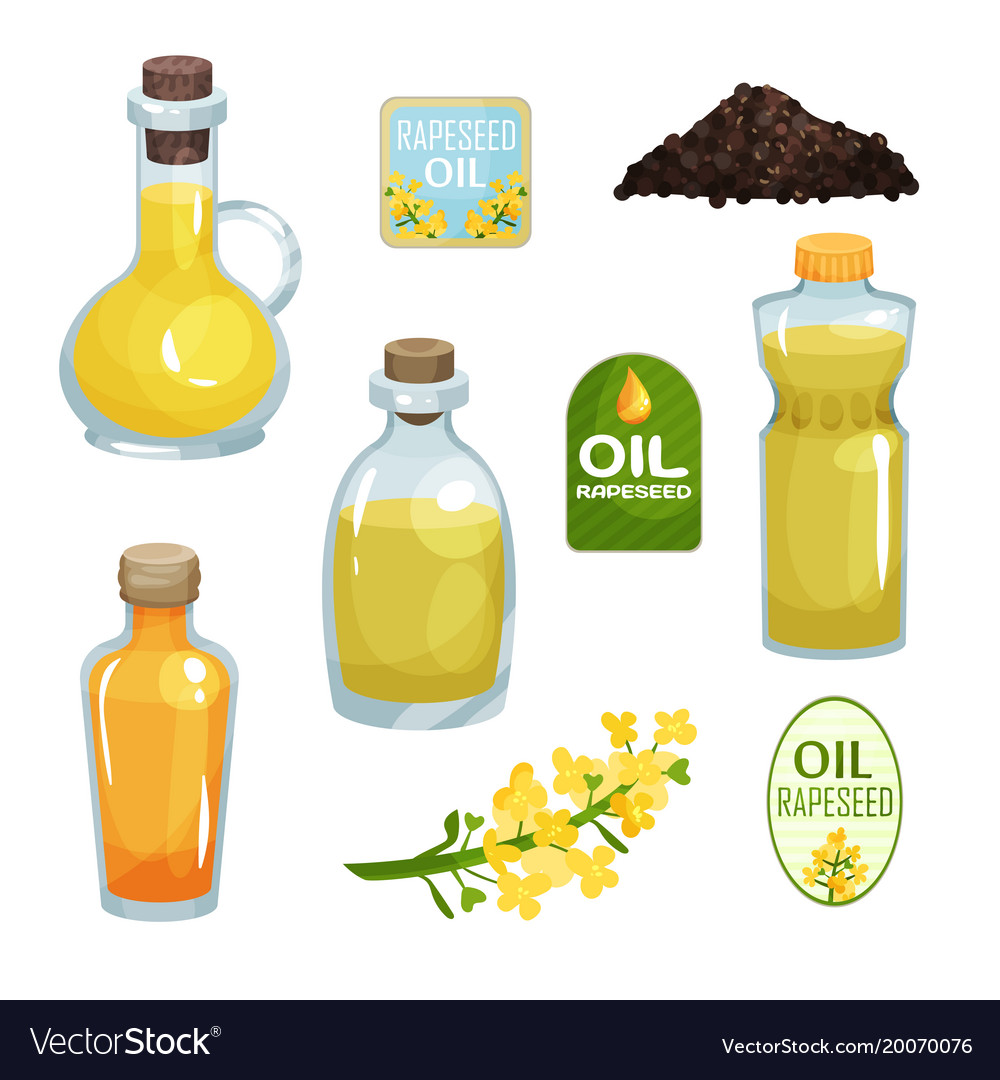 Collection of glass and plastic bottles filled Vector Image