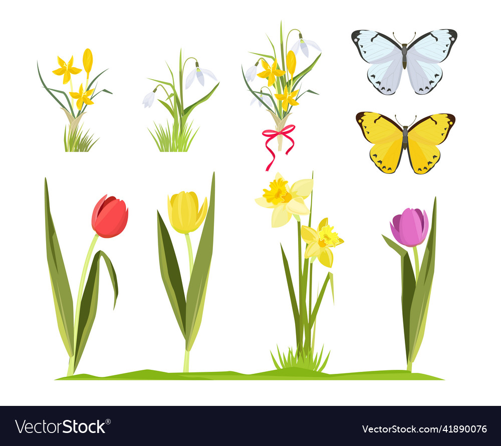 Spring flowers floral garden collection bouquet Vector Image