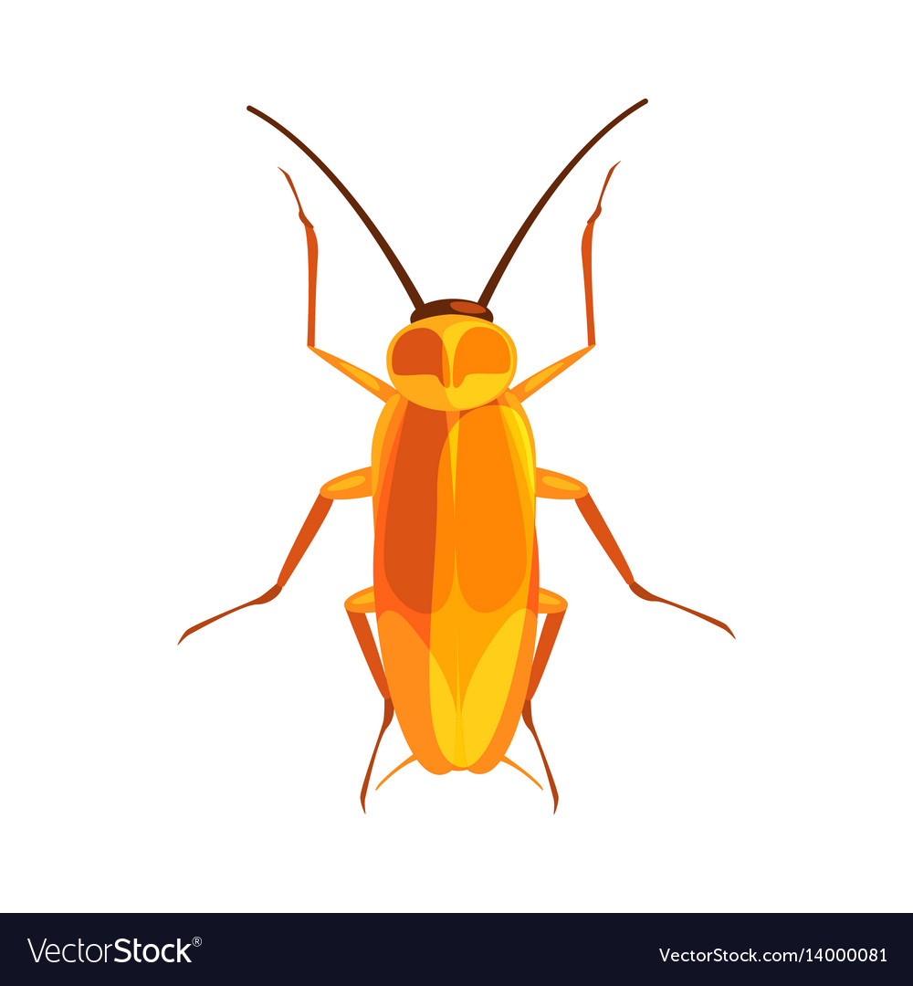 Cockroach insect colorful cartoon character Vector Image Cockroach insect colorful cartoon character Vector Image