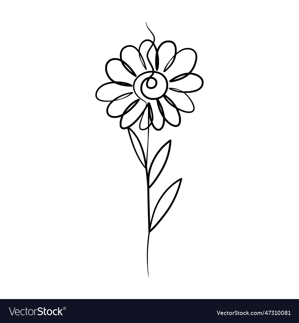 Continuous one line art drawing of beauty daisy Vector Image