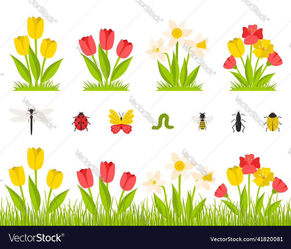 Garden Spring Flowers A Bush Of Tulips Daffodils Vector Image