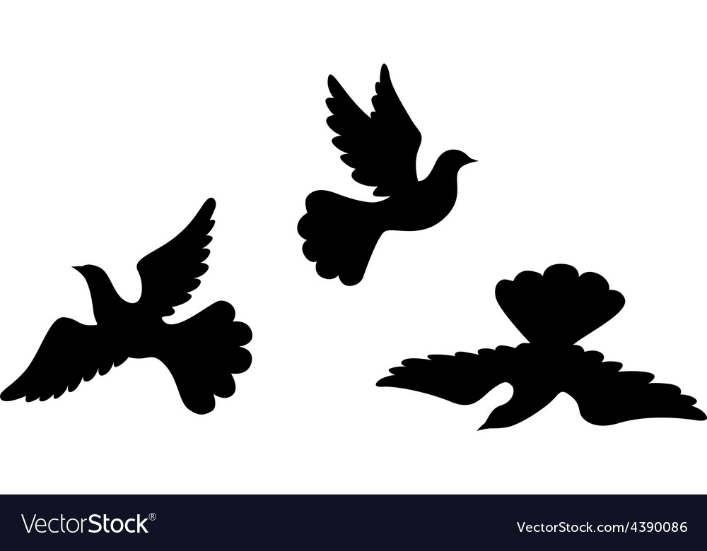 Dove silhouette Royalty Free Vector Image - VectorStock